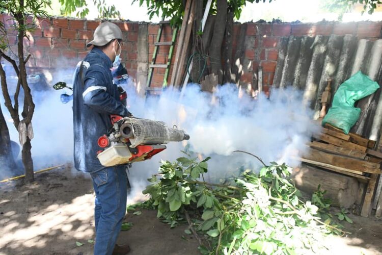 Salud intensifica la lucha contra el dengue, zika y chikungunya.
