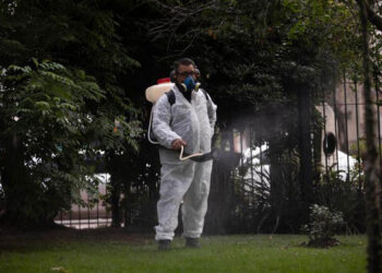 dengue_argentina.jpg