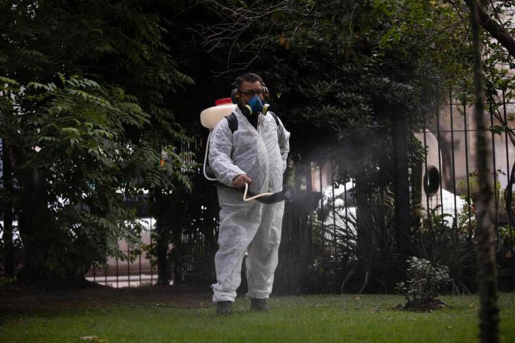 dengue_argentina.jpg