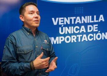 Combustibles