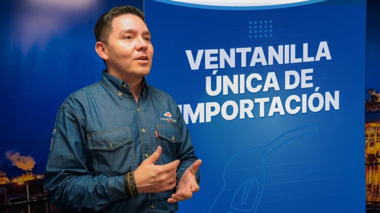 Combustibles