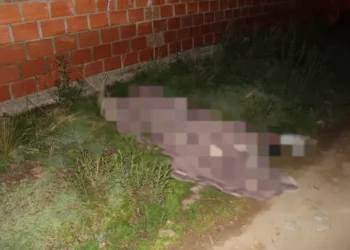 El cuerpo fue abandonado en una calle