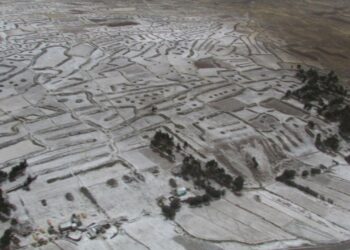 Imagen referencial. Cultivos son cubiertos por la granizada. Foto: La Razón