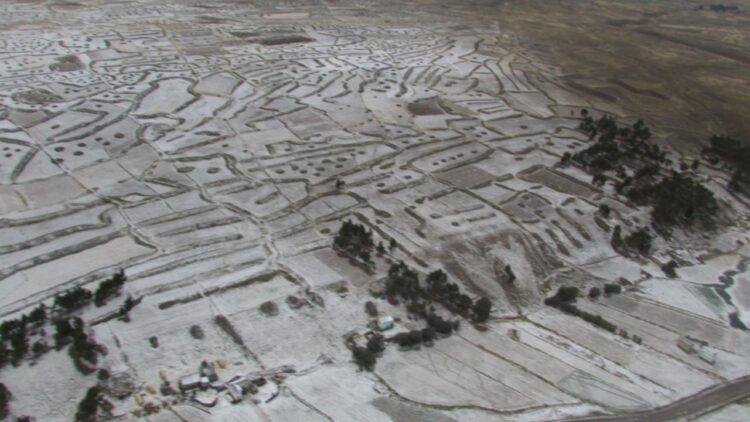 Imagen referencial. Cultivos son cubiertos por la granizada. Foto: La Razón