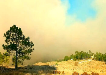 incendio_argentina.jpg