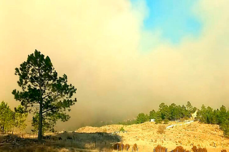 incendio_argentina.jpg