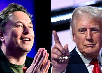 musk_trump.jpg