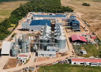 La planta de transformación de subproductos de soya entra en fase final con un 95% de avance