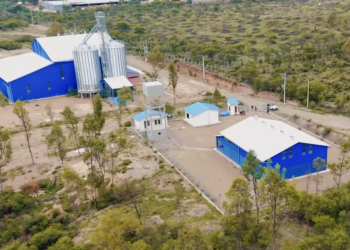 Arce anuncia la conclusión de la planta extractora de aceite de manzanilla en Tarija