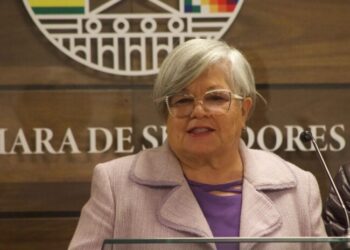 Mediante una ley, elecciones judiciales restantes podrían realizarse con las generales de 2025