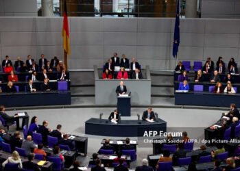 scholz.jpg
