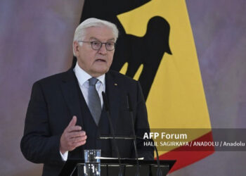 steinmeier.jpg