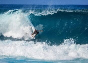 Luces en tablas de surf podrían repeler ataques de tiburones, según estudio