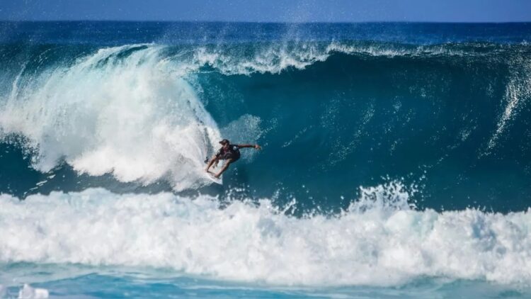 Luces en tablas de surf podrían repeler ataques de tiburones, según estudio