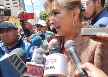 Transporte internacional al borde de la quiebre por falta de diésel