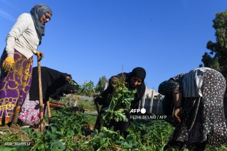 Mujeres agricultoras en Túnez