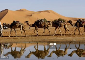Lluvias inundan el desierto del Sáhara