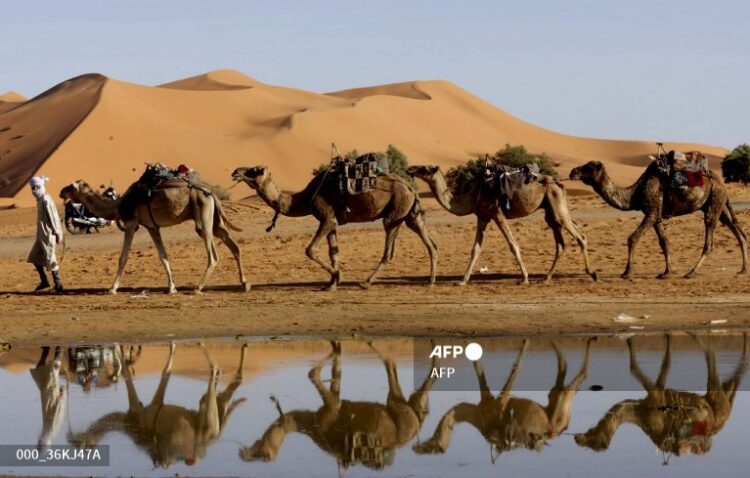 Lluvias inundan el desierto del Sáhara