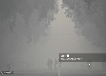 La contaminación alcanzó niveles peligrosos
