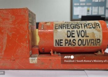Las cajas negras fueron analizadas
