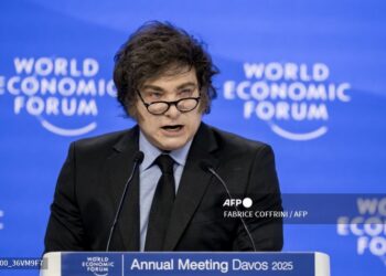 Milei criticó esta figura legal