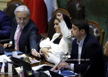 Karol Cariola acudió a la sesión con su bebé recién nacido