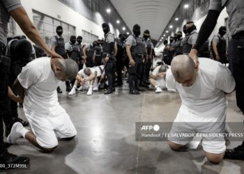 El Salvador recibió el fin de semana a 261 supuestos criminales deportados por Estados Unidos.