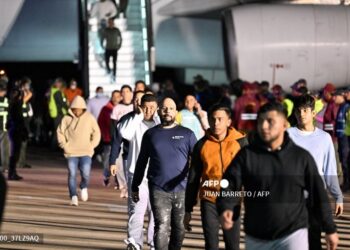 Fueron repatriados el domingo