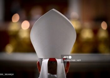 El papa Francisco está mejor y podría aparecer en público el domingo