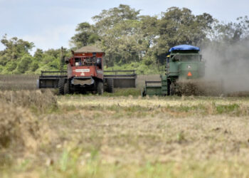 productores