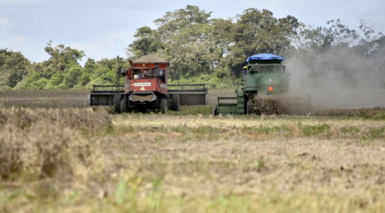 productores
