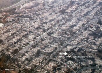 8.200 hectáreas fueron arrasadas en Pacific Palisades