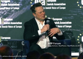 Elon Musk habló de temas internos de países europeos