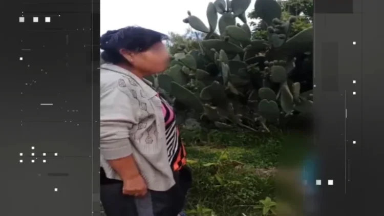 La iracunda vecina evita que saquen tunas