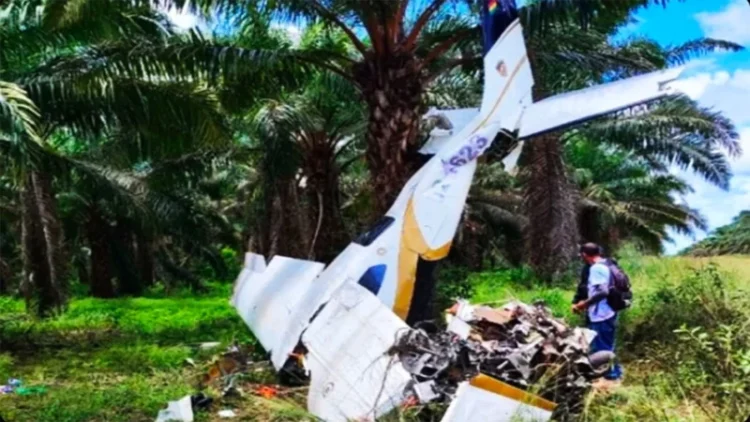La aeronave quedó colgada en un árbol