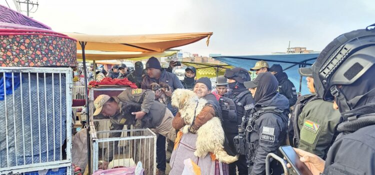 Operativo de Pofoma en la feria del Puente Vela, en El Alto.