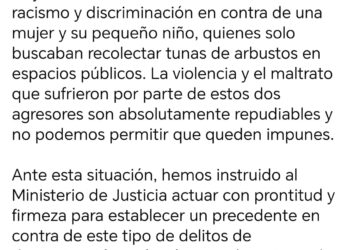 El presidente Luis Arce pidió celeridad en investigación por el caso de violencia contra una mujer por recoger tunas.