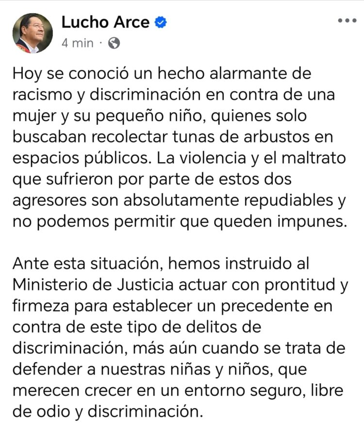 El presidente Luis Arce pidió celeridad en investigación por el caso de violencia contra una mujer por recoger tunas.