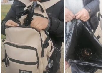 Tres jóvenes profanaron tumbas en el cementerio Mercedario de El Alto; intentaron llevarse dos cráneos.