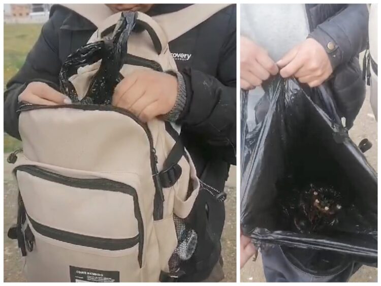 Tres jóvenes profanaron tumbas en el cementerio Mercedario de El Alto; intentaron llevarse dos cráneos.
