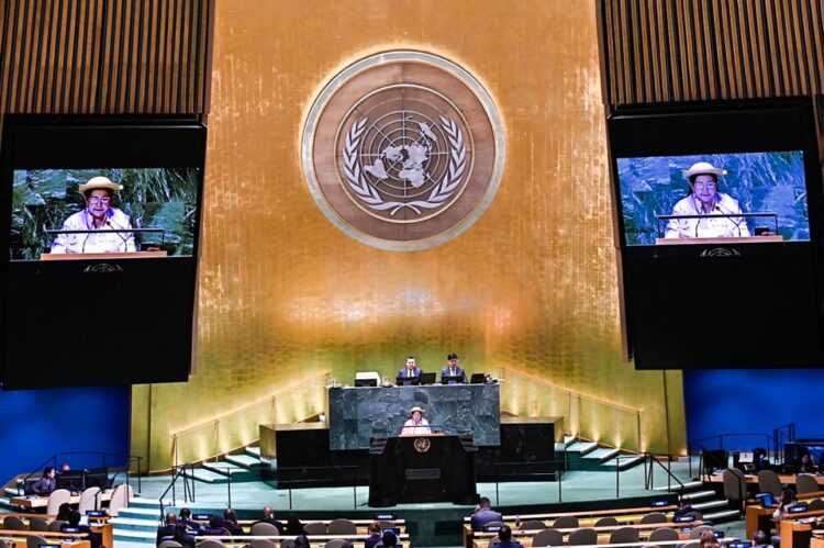 En sesión de la ONU, Bolivia llama a proteger a los pueblos indígenas