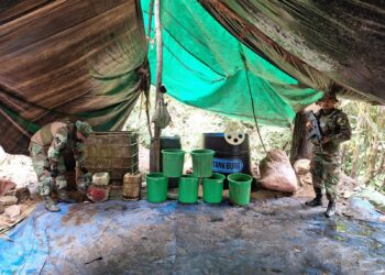 Del Castillo anuncia la destrucción de 17 fábricas de droga en Villa Tunari, Chapare