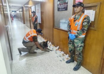 Un can antidroga frustra envío de droga en Aeropuerto Internacional de Viru Viru