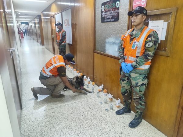 Un can antidroga frustra envío de droga en Aeropuerto Internacional de Viru Viru