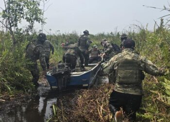 Gobierno destaca afectación al narcotráfico en más de $us 208 millones y los 10.370 operativos realizados en 2024