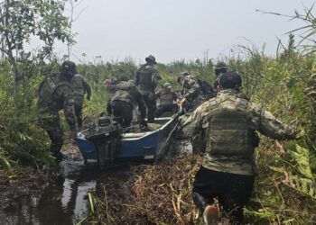 Ministro de Gobierno destaca que en cuatro años se destruyeron más de 140 toneladas de droga