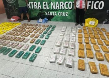 La droga decomisada en el operativo
