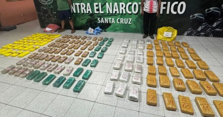 La droga decomisada en el operativo
