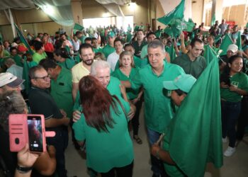 Demócratas realizará su congreso el 11 de enero para participar de las elecciones generales