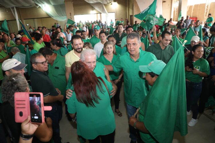 Demócratas realizará su congreso el 11 de enero para participar de las elecciones generales